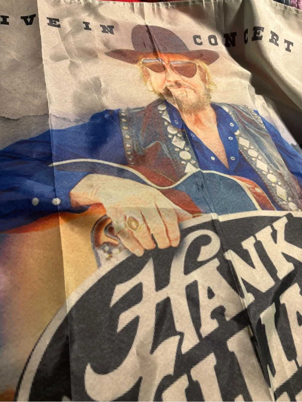 Hank Williams Jr 36”x 59” Graphic Concert-Style Banner live in concert . Rare